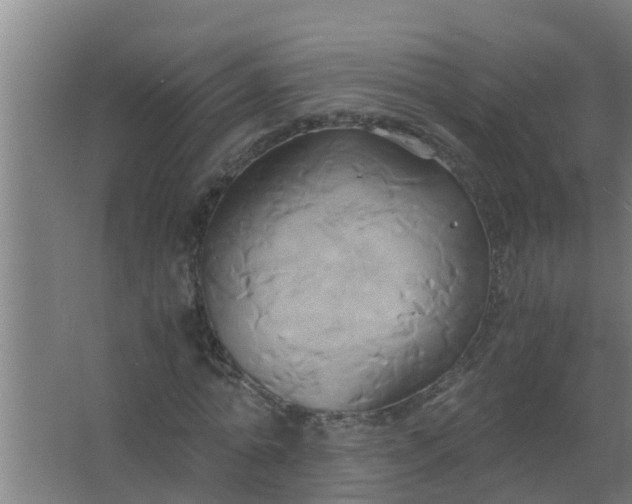 X0000063470774200602031859