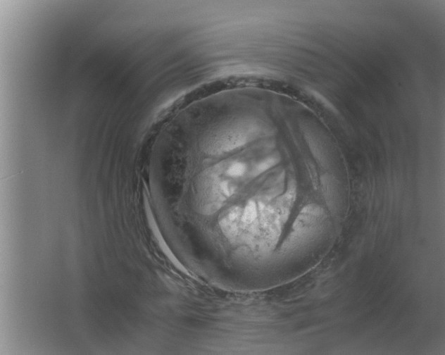 X0000063470775200602031859