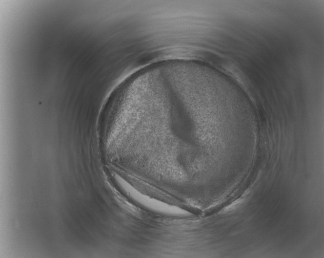 X0000063470779200602031858