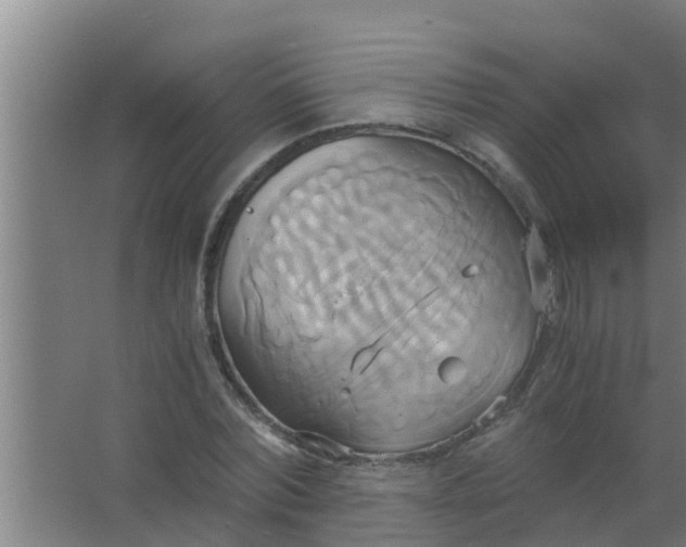 X0000063470780200602031858