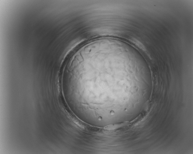 X0000063470782200602031858