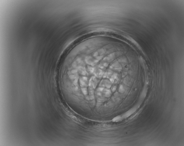 X0000063470783200602031858