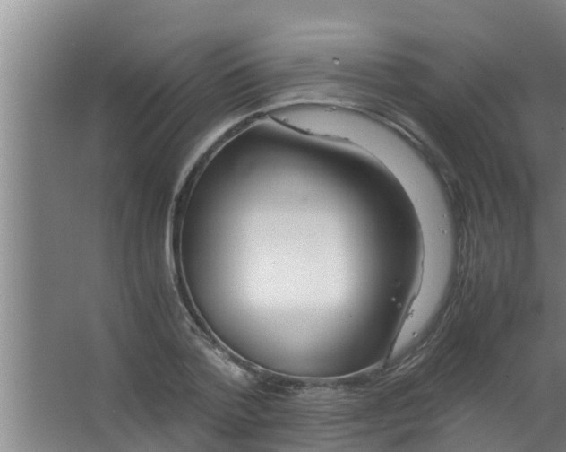 X0000063470788200602031858