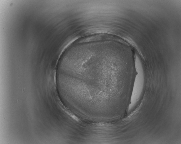 X0000063470790200602031858