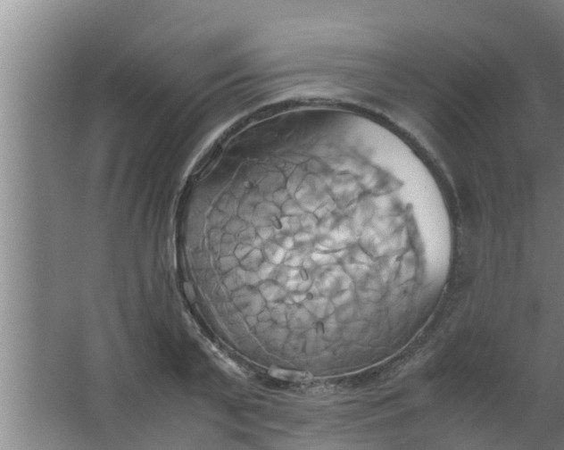 X0000063470791200602031858