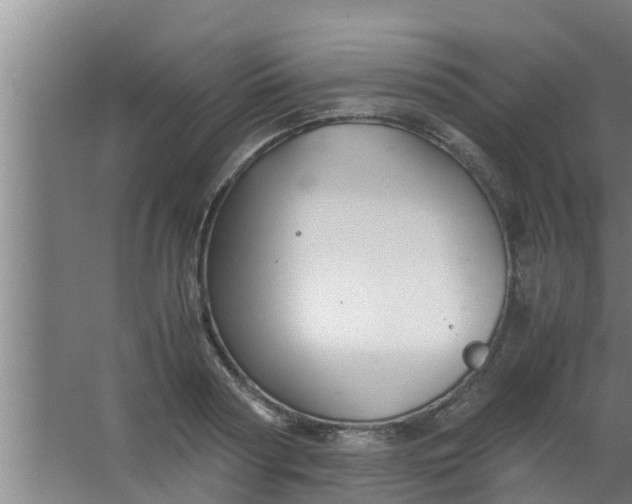 X0000063470794200602031858