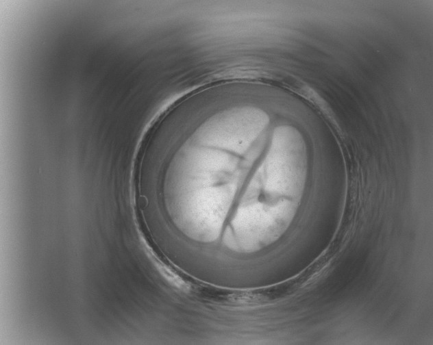 X0000063470795200602031858