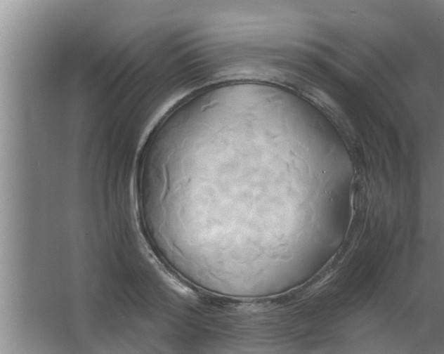 X0000063470796200602031858