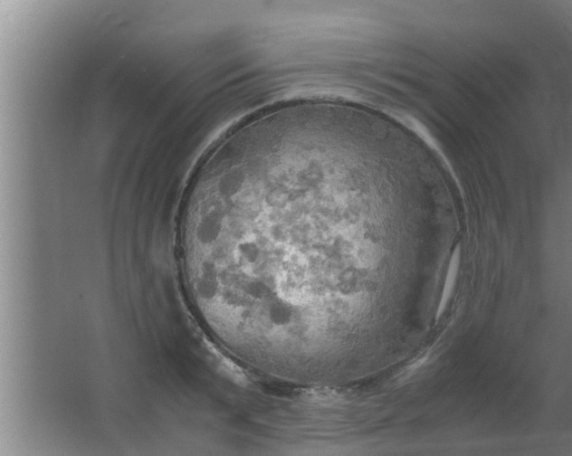 X0000063470799200602031858