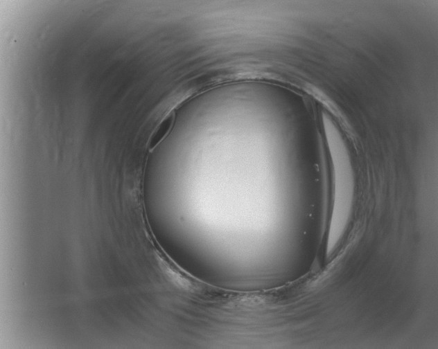 X0000063470801200602031858