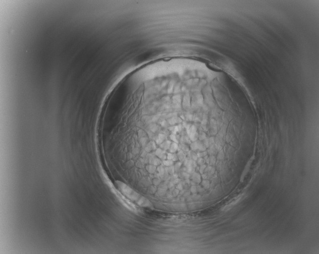 X0000063470803200602031858