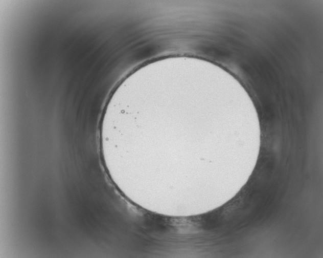 X0000063470807200602031858