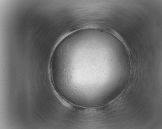 X0000063470811200602031858