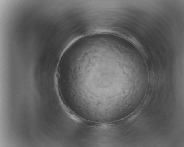 X0000063470814200602031858