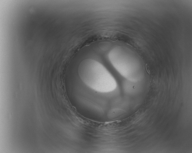 X0000063470817200602031857