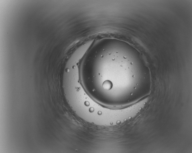 X0000063470824200602031857