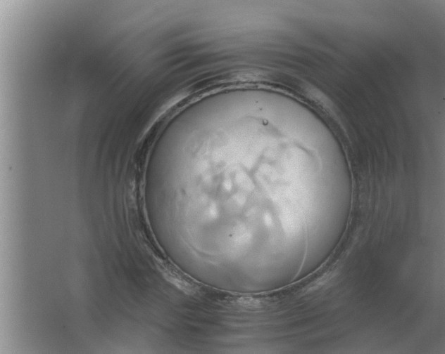 X0000063470827200602031857