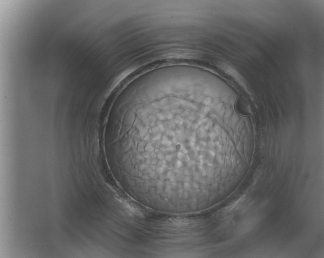 X0000063470829200602031857