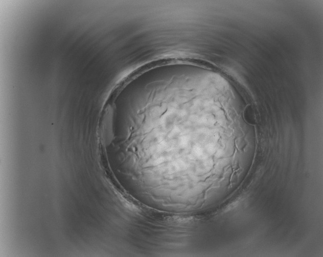 X0000063470831200602031857