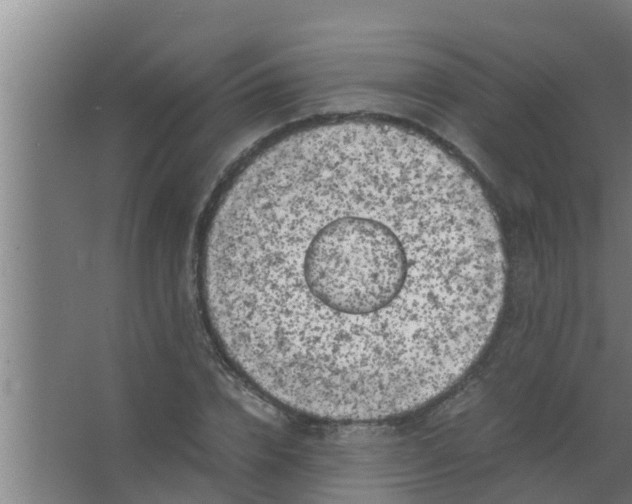 X0000063470832200602031857