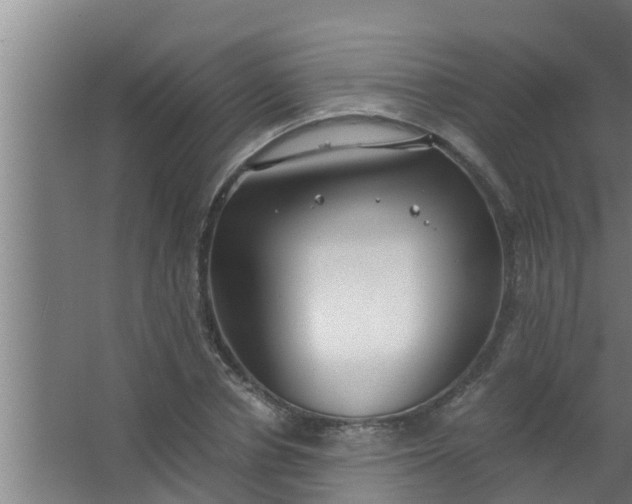 X0000063470834200602031857