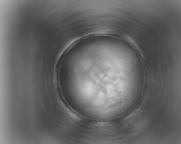 X0000063470835200602031857