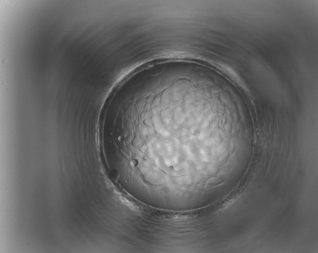 X0000063470839200602031857