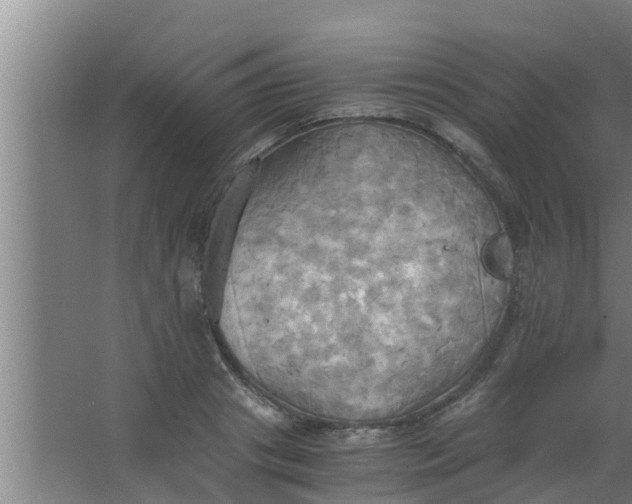 X0000063470841200602031857