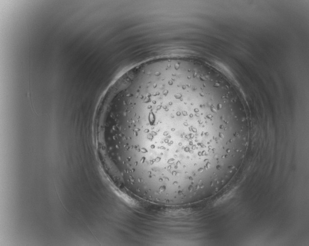 X0000063470843200602031857