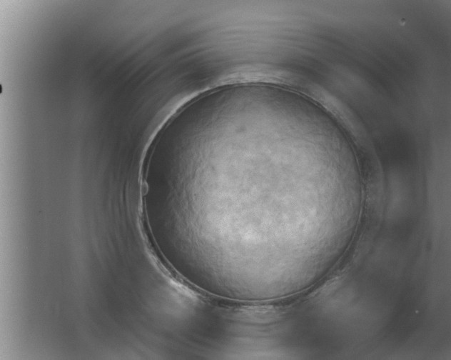 X0000063470844200602031858