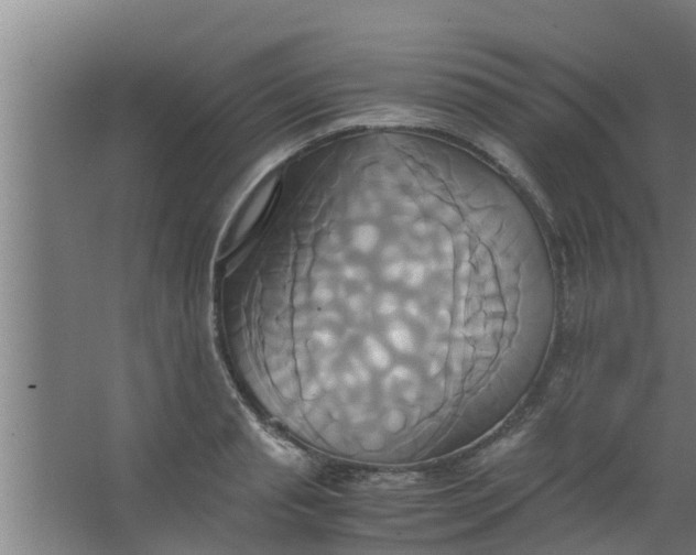 X0000063470845200602031858