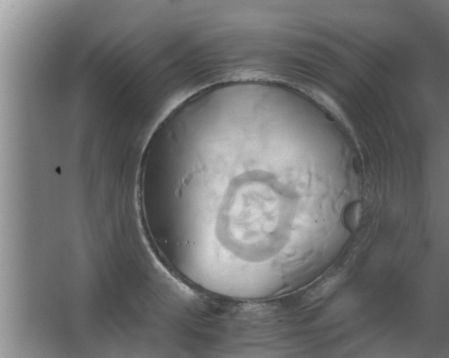 X0000063470847200602031858