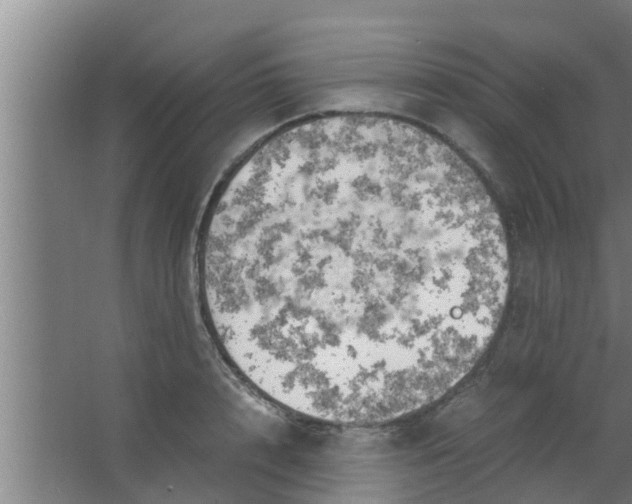 X0000063470848200602031858