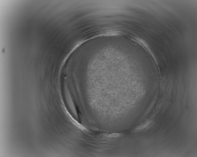 X0000063470851200602031858