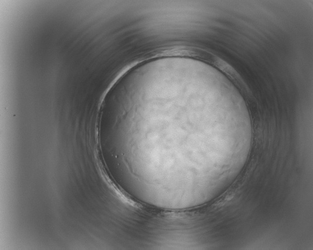 X0000063470852200602031858