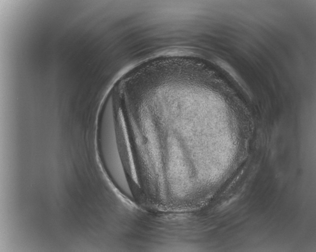 X0000063470853200602031858