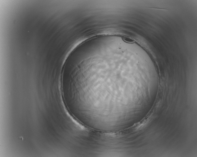 X0000063470855200602031858