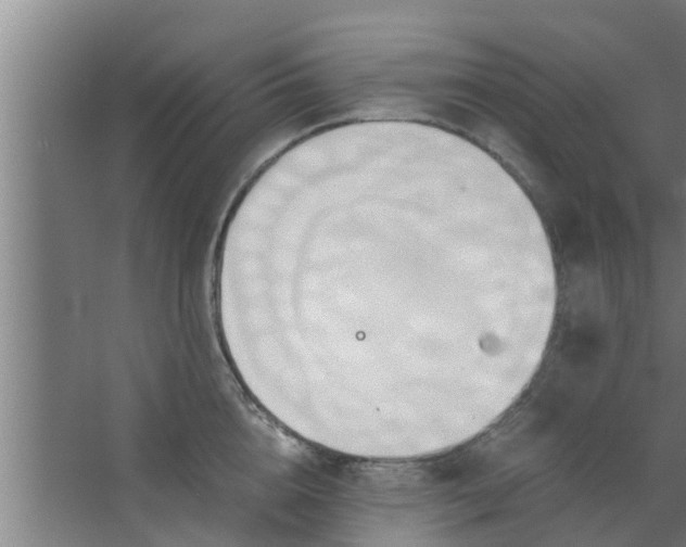 X0000063470856200602031858