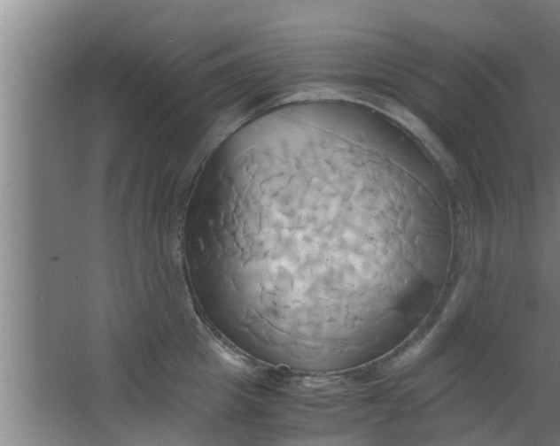 X0000063470857200602031858