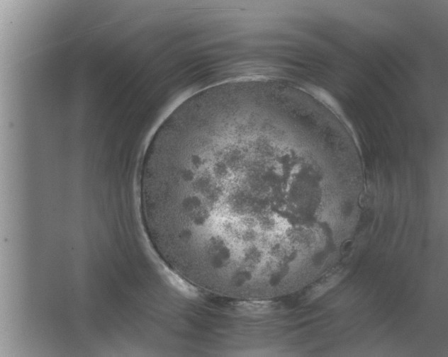 X0000063470859200602031858