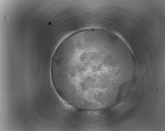 X0000063470861200602031858