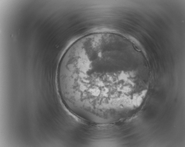 X0000063470863200602031858