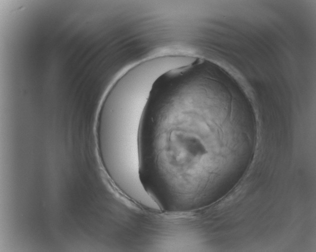 X0000063470864200602031858