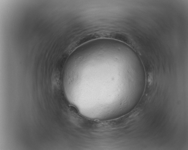 X0000063470867200602031857