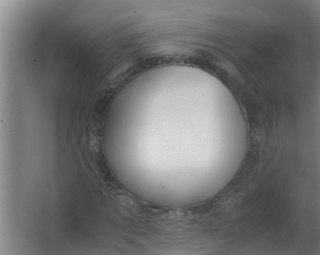 X0000063470869200602031857