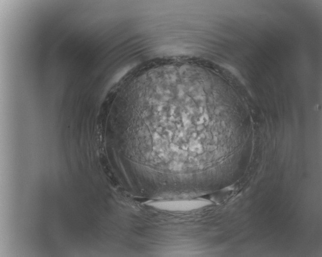 X0000063470871200602031857