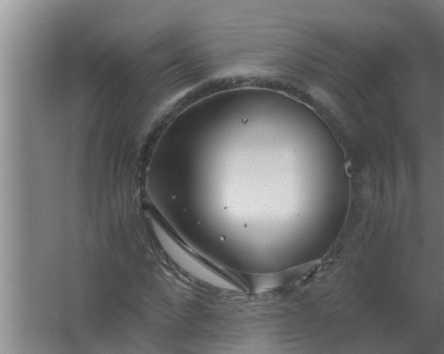 X0000063470872200602031857