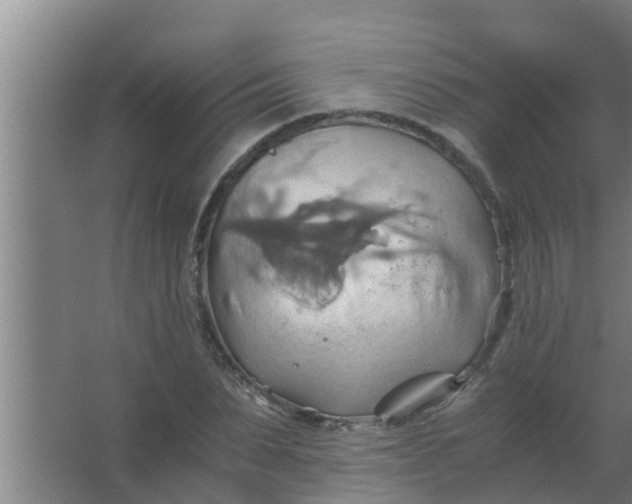 X0000063470879200602031857