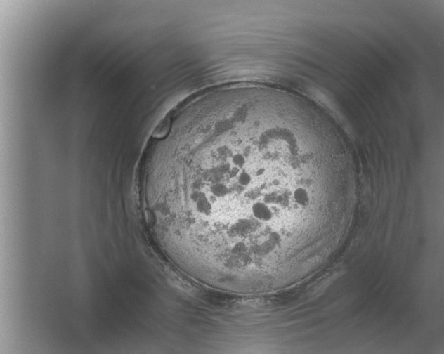 X0000063470883200602031857