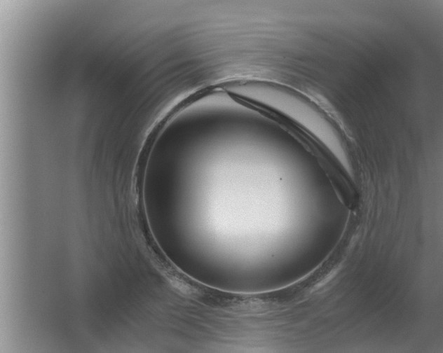 X0000063470885200602031857